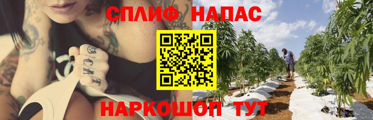 Старая Русса  Канабис сатива  Марихуана MAZAR  Вход с VPN  Марихуана Amnesia 